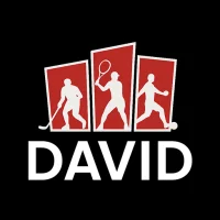 David - Sports Predictions